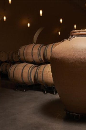 Amphore, vinification